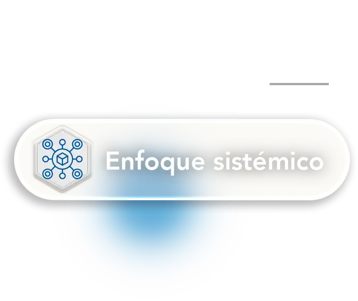 Enfoque Sistémico