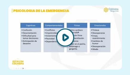 Imagen de la card